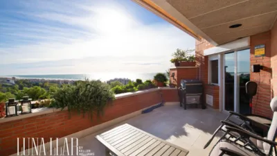 Duplex penthouse in Passatge dels Pins Melis photo 3