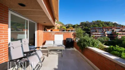 Duplex penthouse in Passatge dels Pins Melis photo 5
