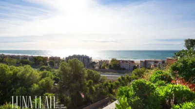 Duplex penthouse in Passatge dels Pins Melis photo 6