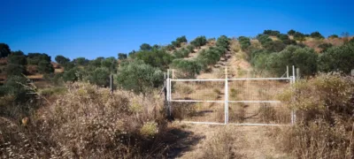 Rustic finca in Pizarra photo 4