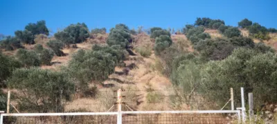 Rustic finca in Pizarra photo 5