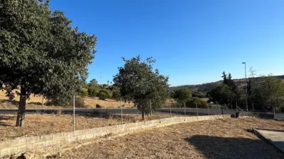 Rustic Finca in Costa Natura photo 14