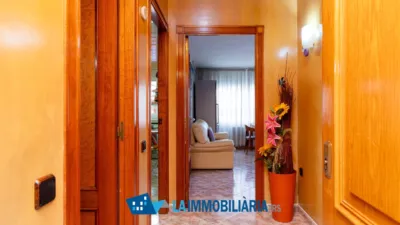 Apartment in Sant Pere Nord photo 7
