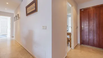 Apartment in Bel-Air-Cancelada-Saladillo photo 8