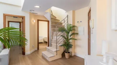 Apartment on Carrer de Lestepa photo 14