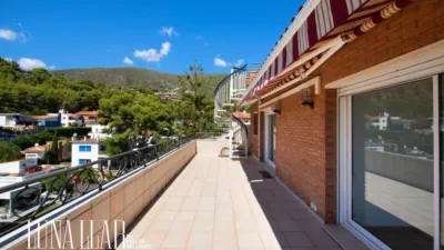 House on Avinguda de Bellamar photo 45