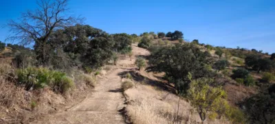 Rustic finca in Pizarra photo 14