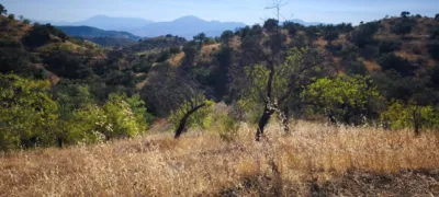 Rustic finca in Pizarra photo 16