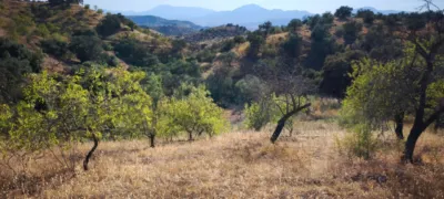 Rustic finca in Pizarra photo 17