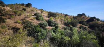 Rustic finca in Pizarra photo 21