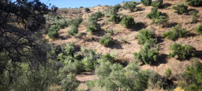 Rustic finca in Pizarra photo 22