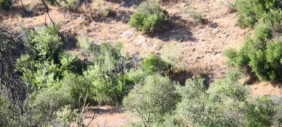 Rustic finca in Pizarra photo 24