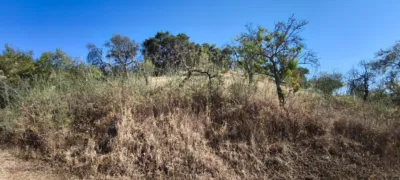 Rustic finca in Pizarra photo 25