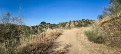 Rustic finca in Pizarra photo 26