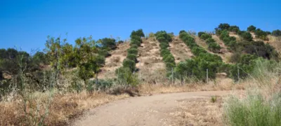 Rustic finca in Pizarra photo 27
