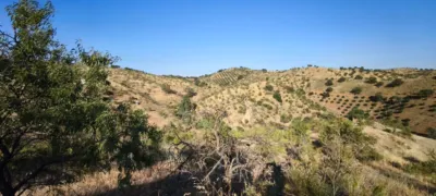 Rustic finca in Pizarra photo 30