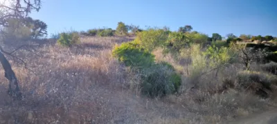 Rustic finca in Pizarra photo 31