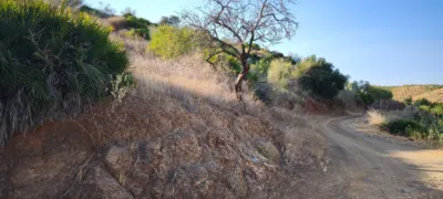 Rustic finca in Pizarra photo 34