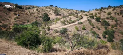 Rustic finca in Pizarra photo 4