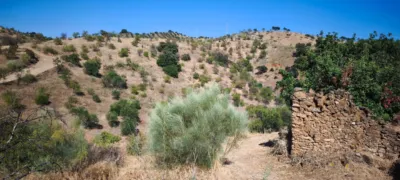 Rustic finca in Pizarra photo 3
