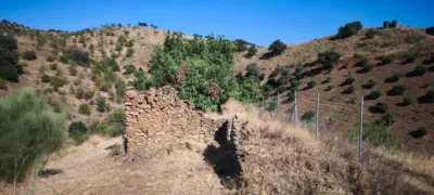Rustic finca in Pizarra photo 5