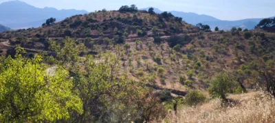 Rustic finca in Pizarra photo 6