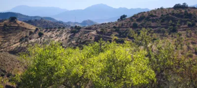 Rustic finca in Pizarra photo 7
