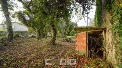 House in Parroquias Este photo 12
