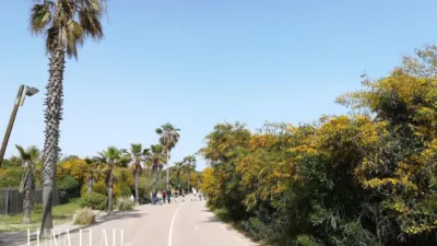 Villa on Avinguda del Mar photo 4