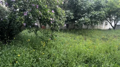 House in Maoño photo 8