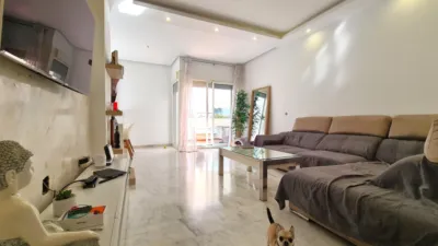 Apartment in Casco Antiguo photo 9