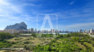 Apartment in Calpe Playa Levante photo 15