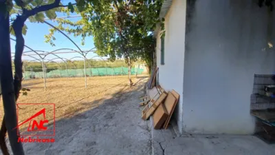 Rustic farm in Bajo Guia photo 3