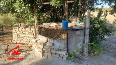 Rustic farm in Bajo Guia photo 4