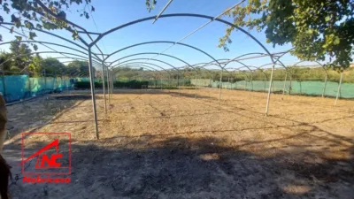 Rustic farm in Bajo Guia photo 5