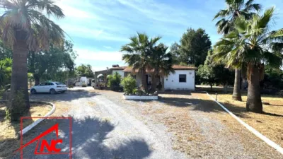 Rustic Finca on Crta. los Tollos photo 4