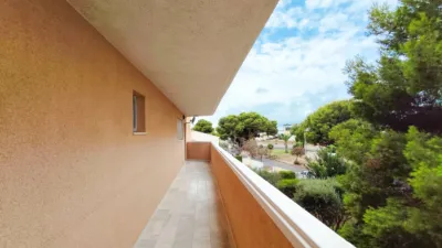 Apartment in La Zenia photo 37