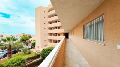 Apartment in La Zenia photo 38
