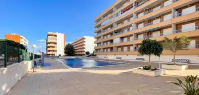 Pis – Orihuela, Barrio Los Villagordos - Vista 4