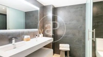 Penthouse on Carrer del Professor Barraquer photo 17
