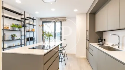 Penthouse on Carrer del Professor Barraquer photo 12