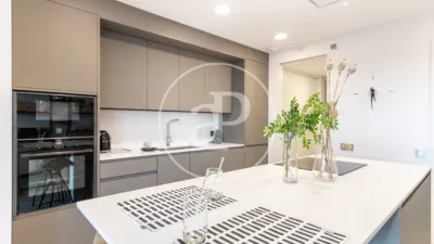 Penthouse on Carrer del Professor Barraquer photo 20