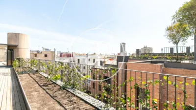 Promoción Apartamentos nuevos en singular proyecto de rehabilitación antigua Fábrica Textil, Calle Riereta 35. El Raval (Distrito Ciutat Vella. Barcelona Capital) de 480.000 €