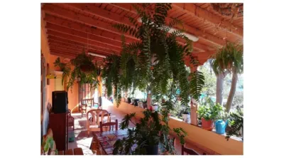 Single-family home on Gran Tarajal Road photo 15
