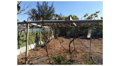 Single-family home on Gran Tarajal Road photo 27