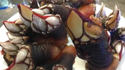 Piso en alquiler en Avenida de la Constitución, cerca de Calle de Rosalía de Castro, Cariño de 490 €