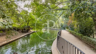 Promoción Obra Nueva en Calle Jorge Juan, Calle Jorge Juan 171. Fuente del Berro (Distrito Barrio de Salamanca. Madrid Capital) de 995.000 €