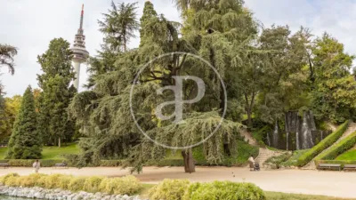 Promoción Obra Nueva en Calle Jorge Juan, Calle Jorge Juan 171. Fuente del Berro (Distrito Barrio de Salamanca. Madrid Capital) de 995.000 €