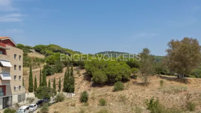 Apartment in Canet de Mar photo 3