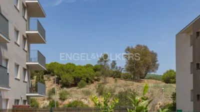 Apartment in Canet de Mar photo 26